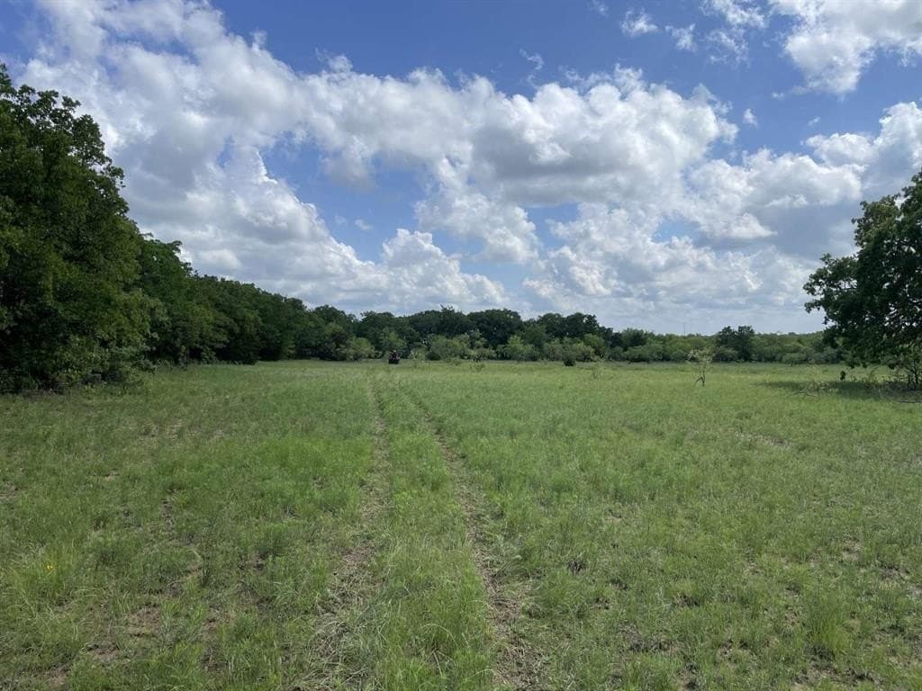 209.13 acres in Wise County gallery image 2