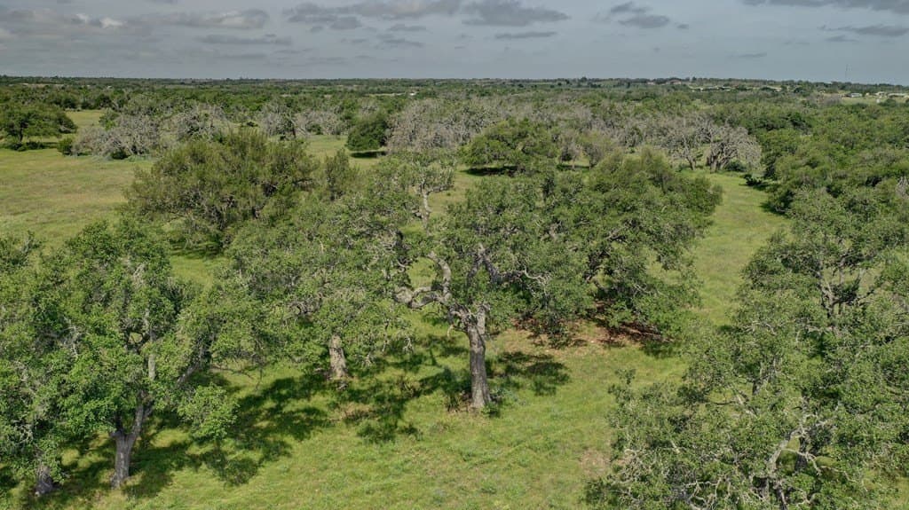 37.66 acres in Gillespie County - photo 54