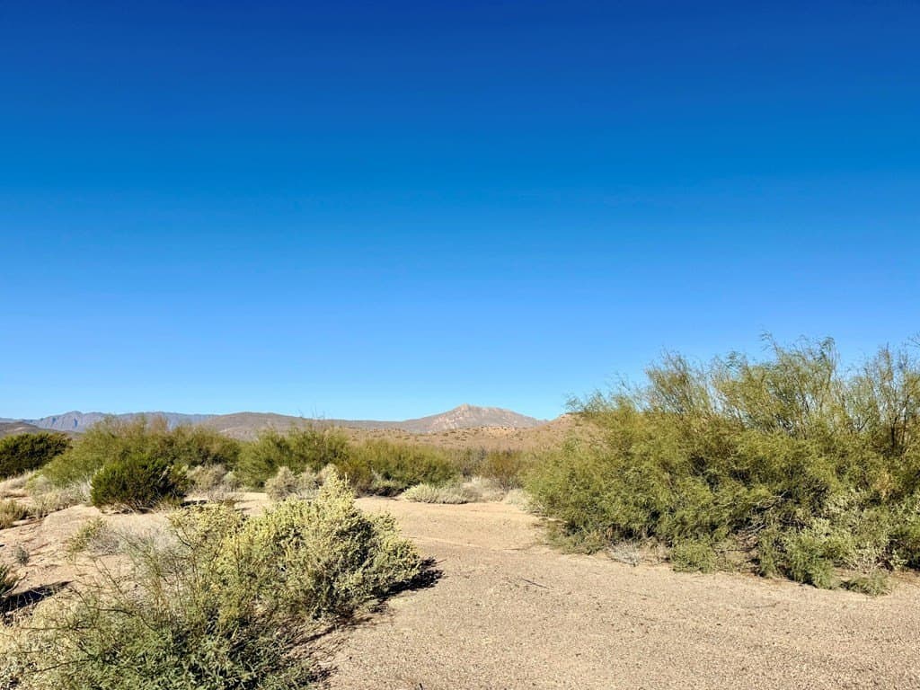 219 acres in Presidio County gallery image 3