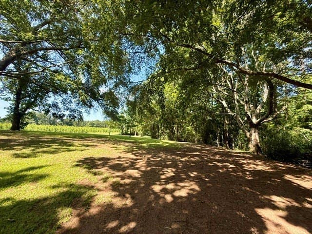12.86 acres in Texas County - photo 22