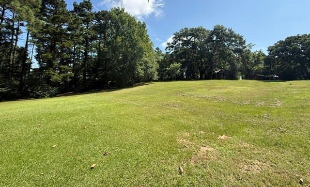 12.86 acres in Texas County - photo 25