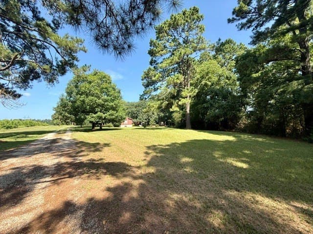12.86 acres in Texas County - photo 17