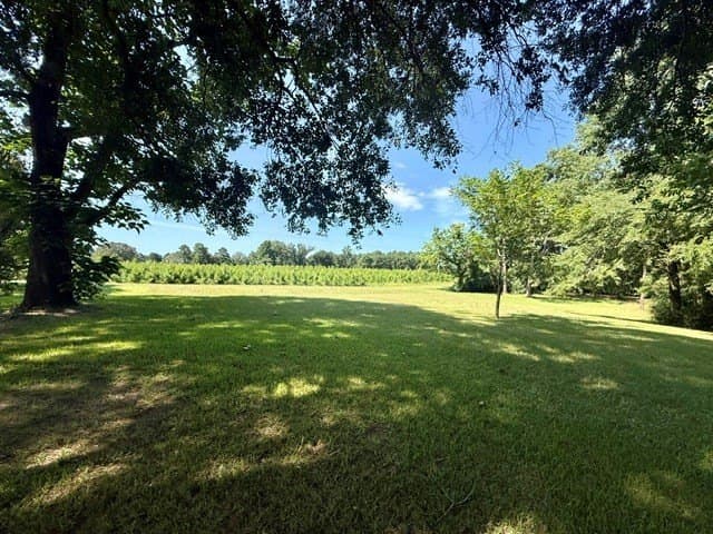 12.86 acres in Texas County - photo 23