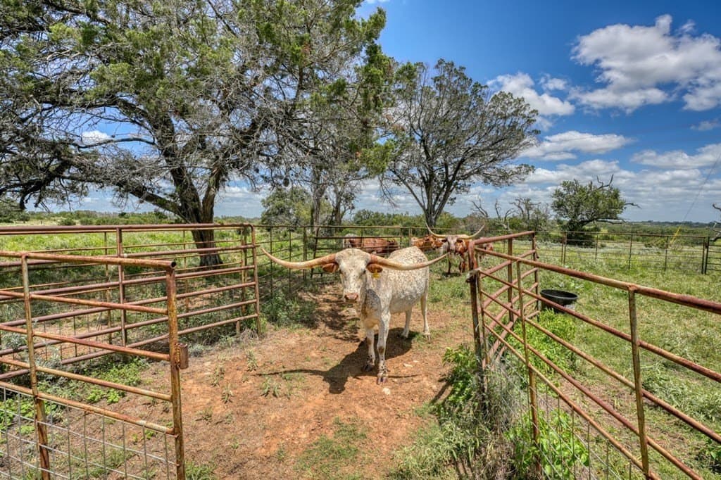 25.17 acres in Blanco County - photo 27