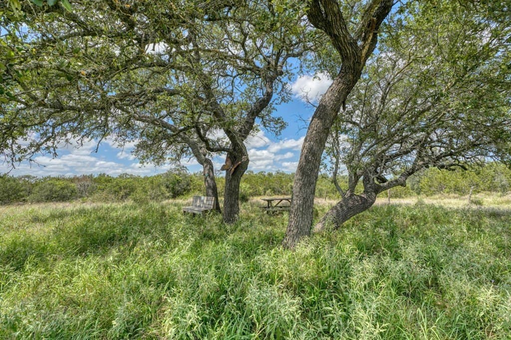 25.17 acres in Blanco County - photo 23