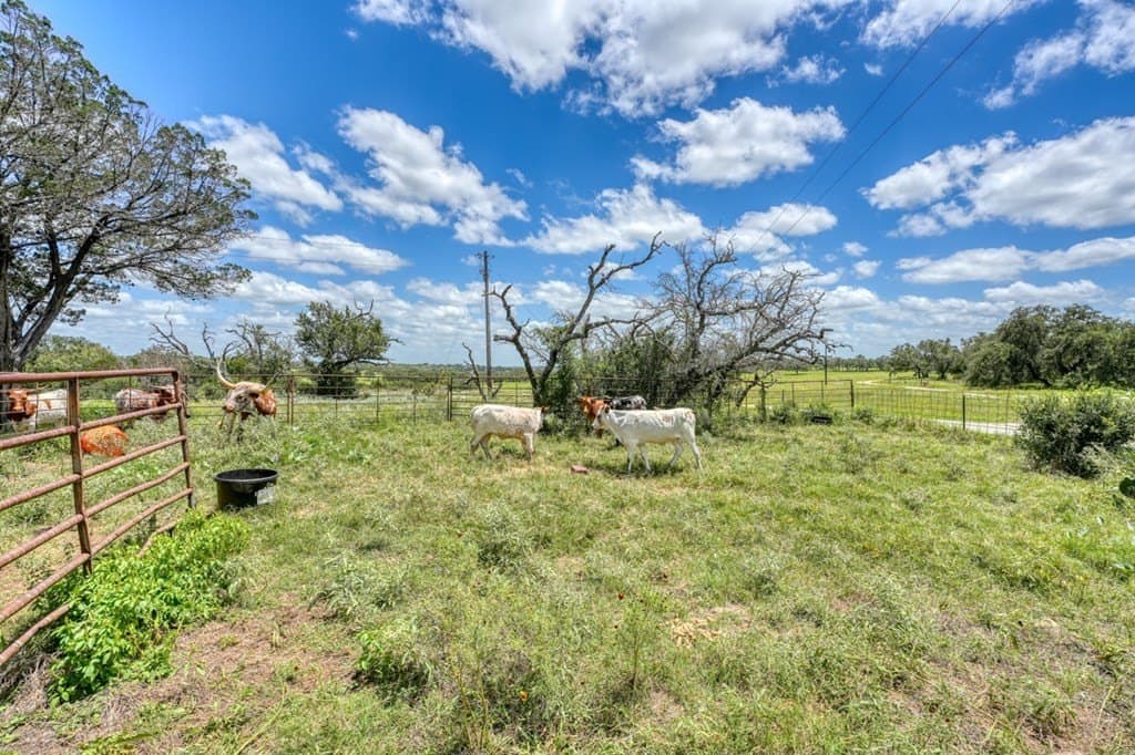 25.17 acres in Blanco County - photo 26