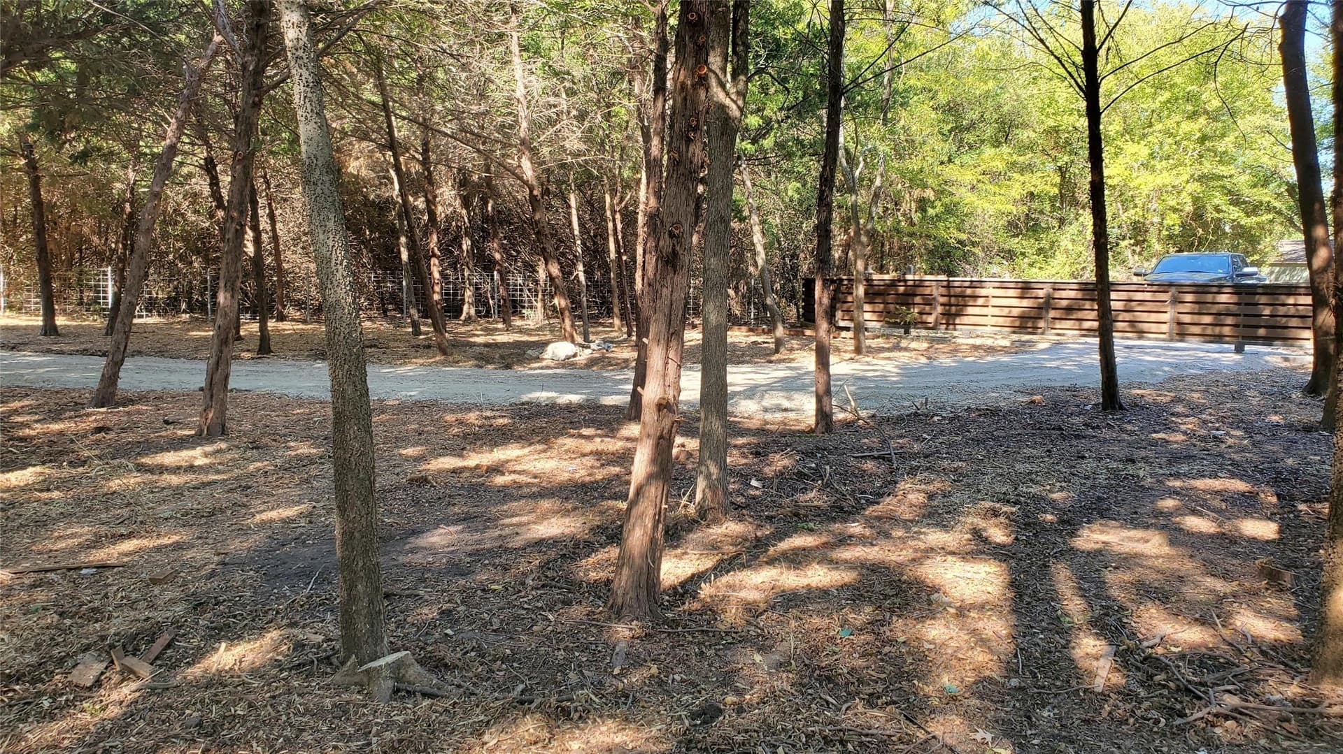 0.8 acres in Collin County - photo 8