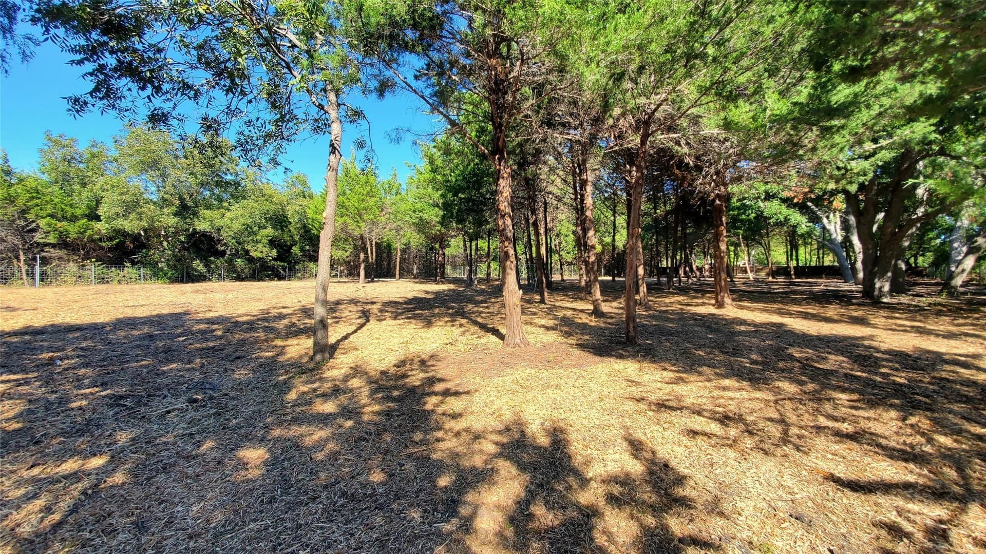 0.8 acres in Collin County - photo 12