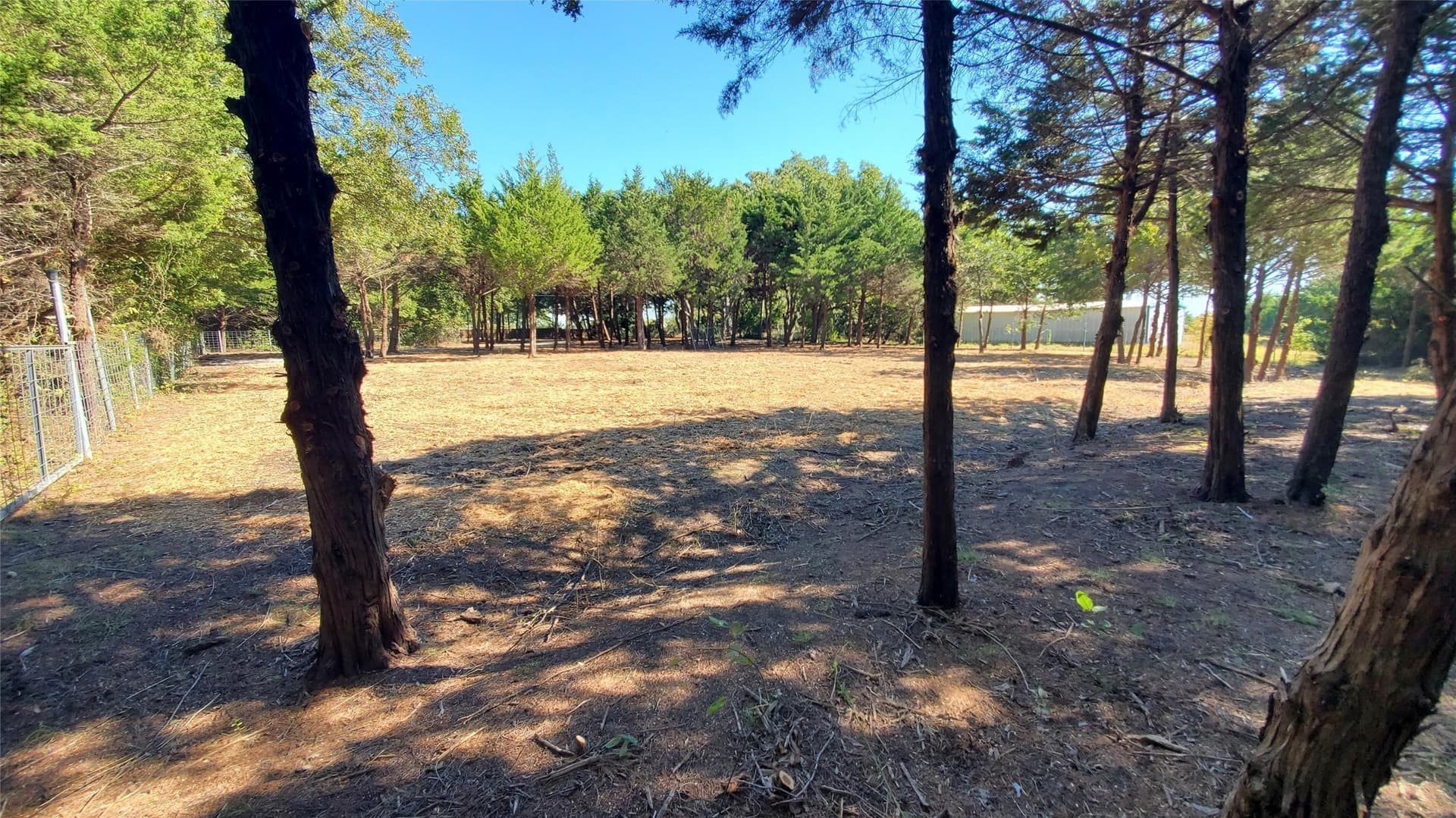 0.8 acres in Collin County - photo 7