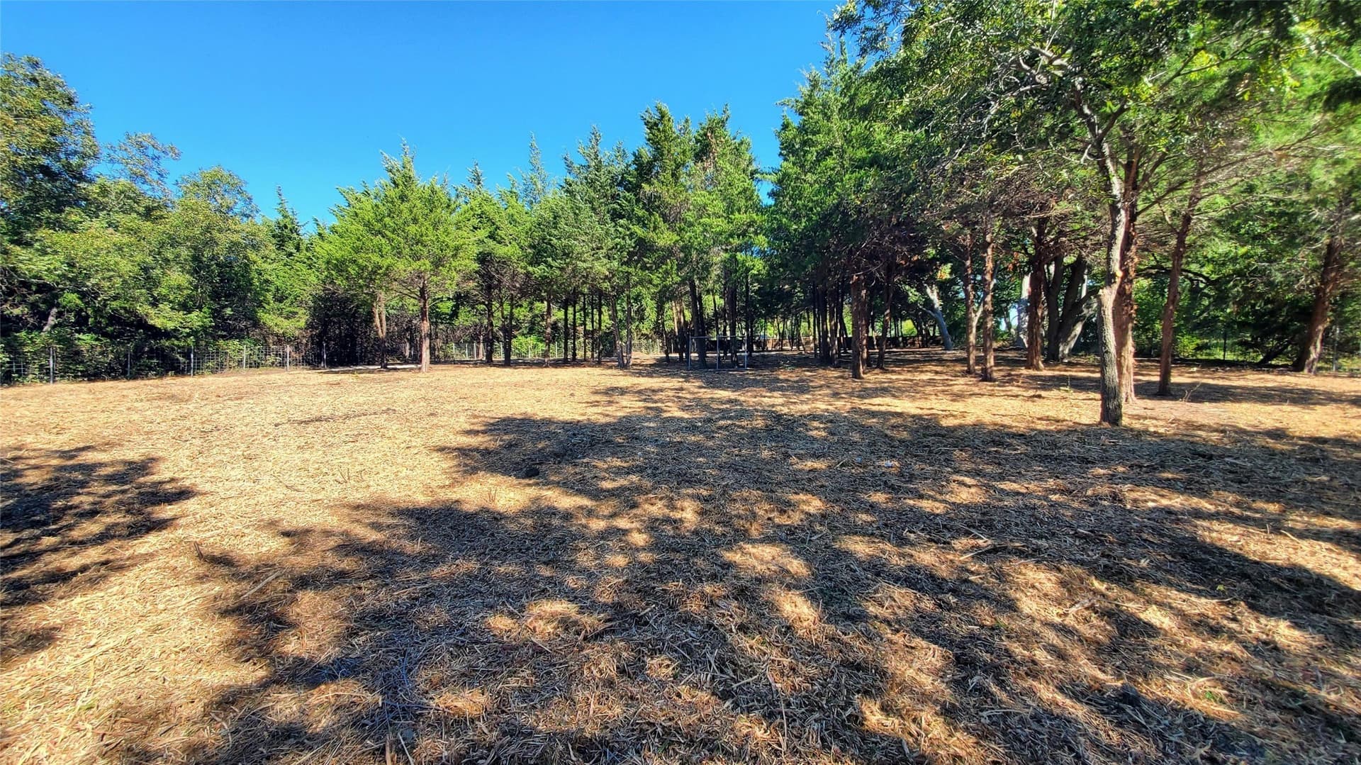 0.8 acres in Collin County gallery image 2
