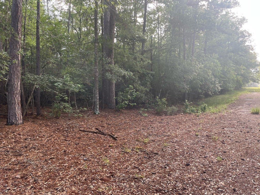 0.22 acres in Texas County gallery image 2