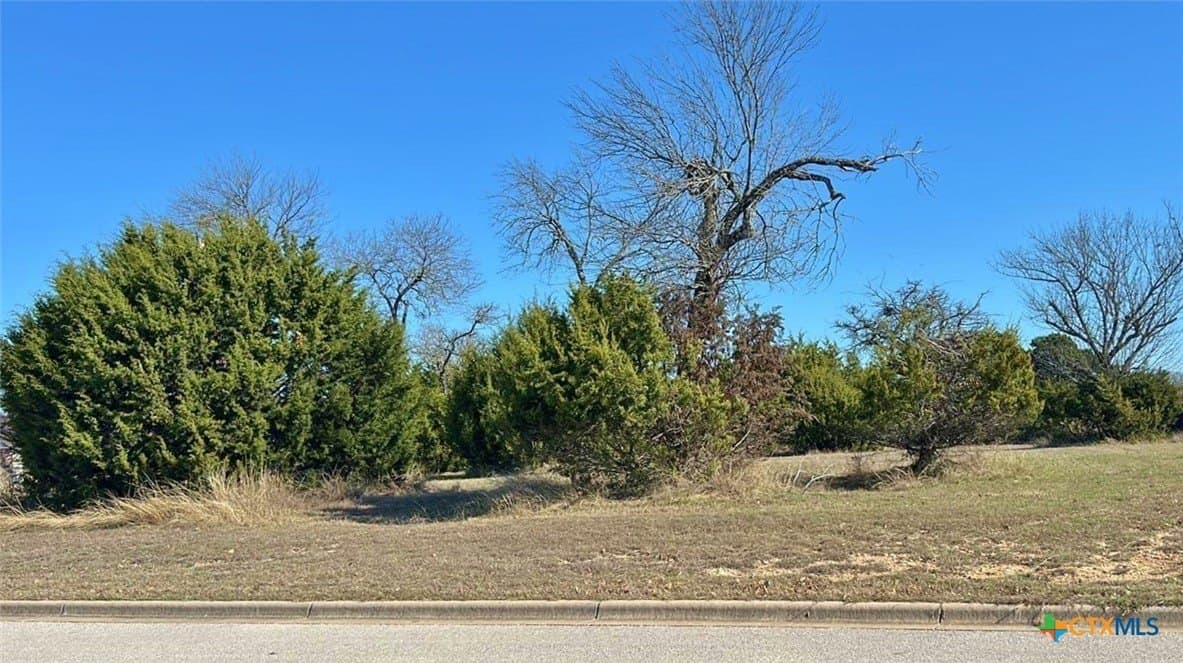 1.03 acres in Bell County gallery image 2