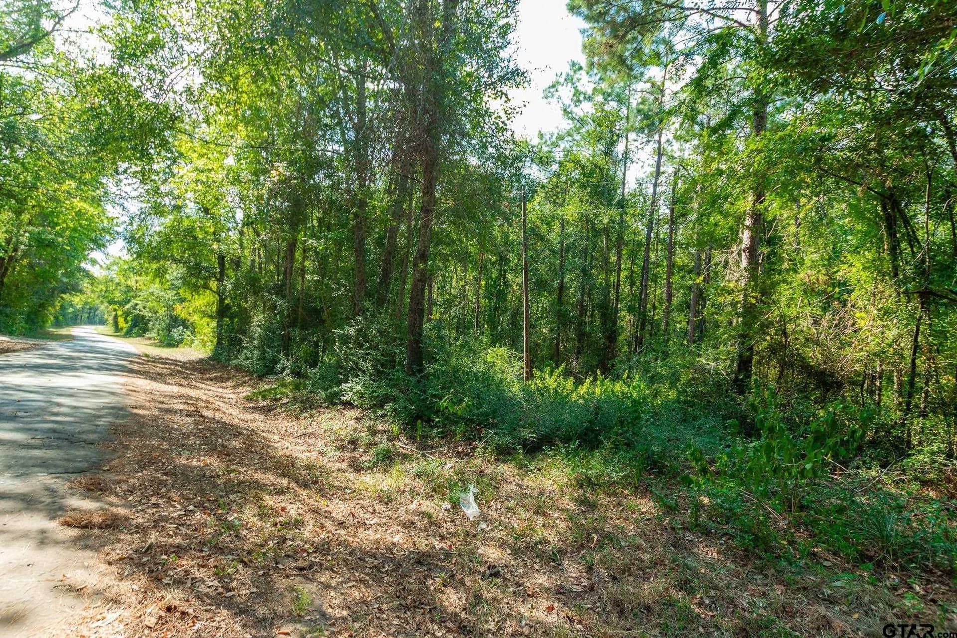 19.63 acres in Panola County - photo 8