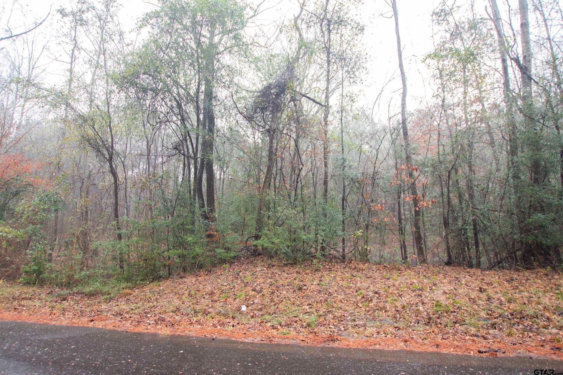 19.63 acres in Panola County featured view