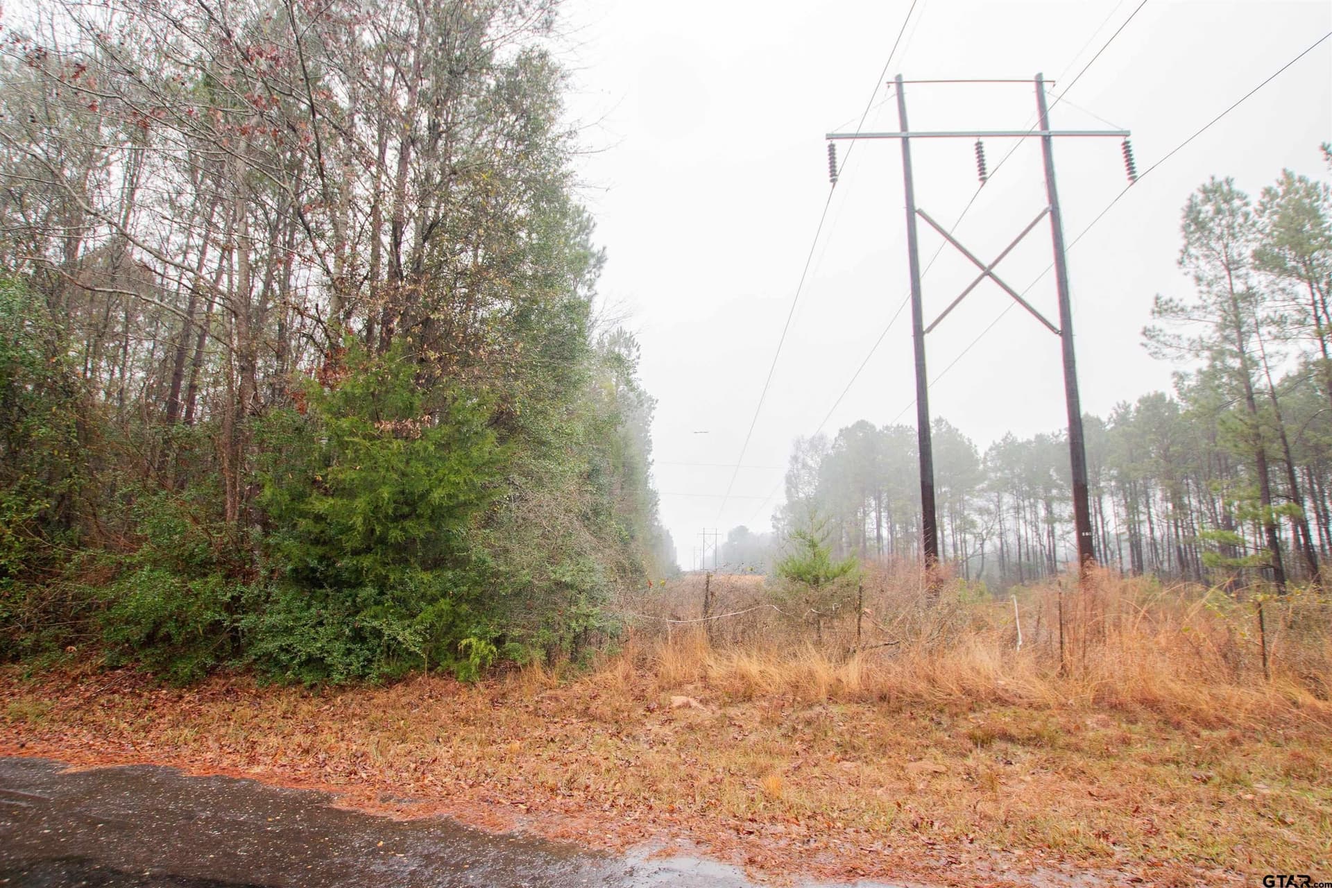 19.63 acres in Panola County - photo 6