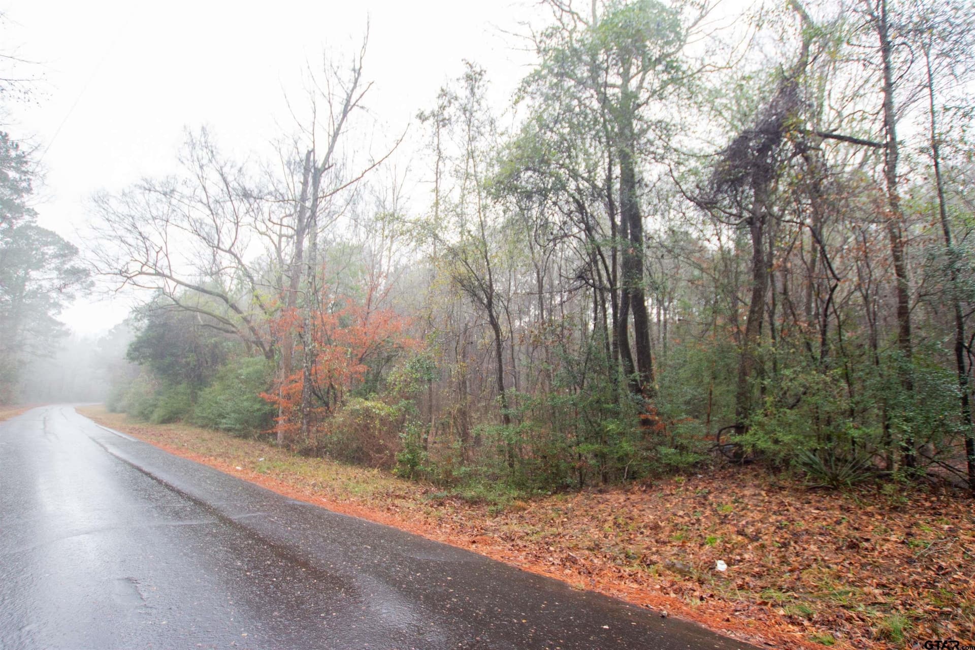 19.63 acres in Panola County gallery image 2