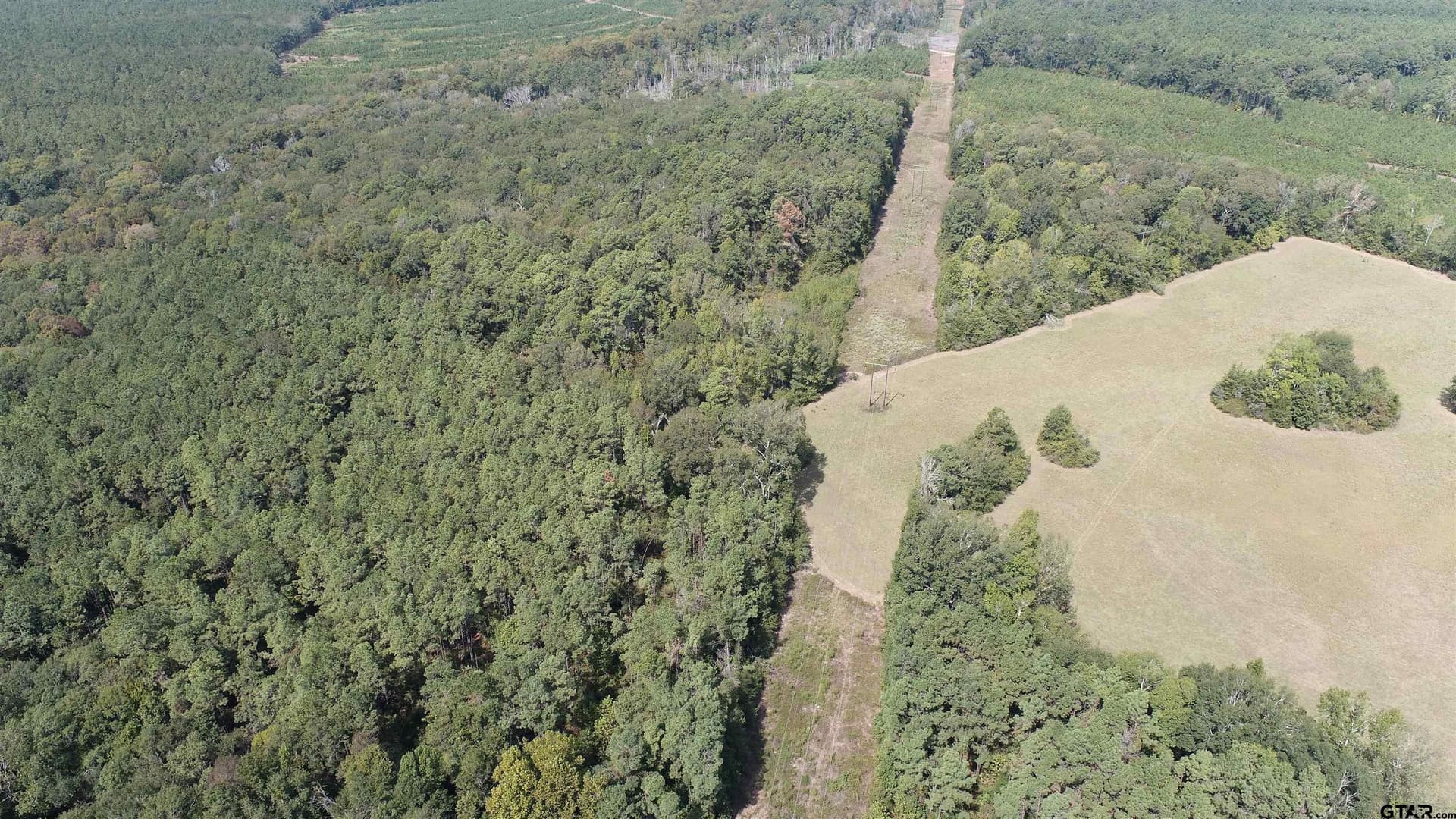 19.63 acres in Panola County - photo 4