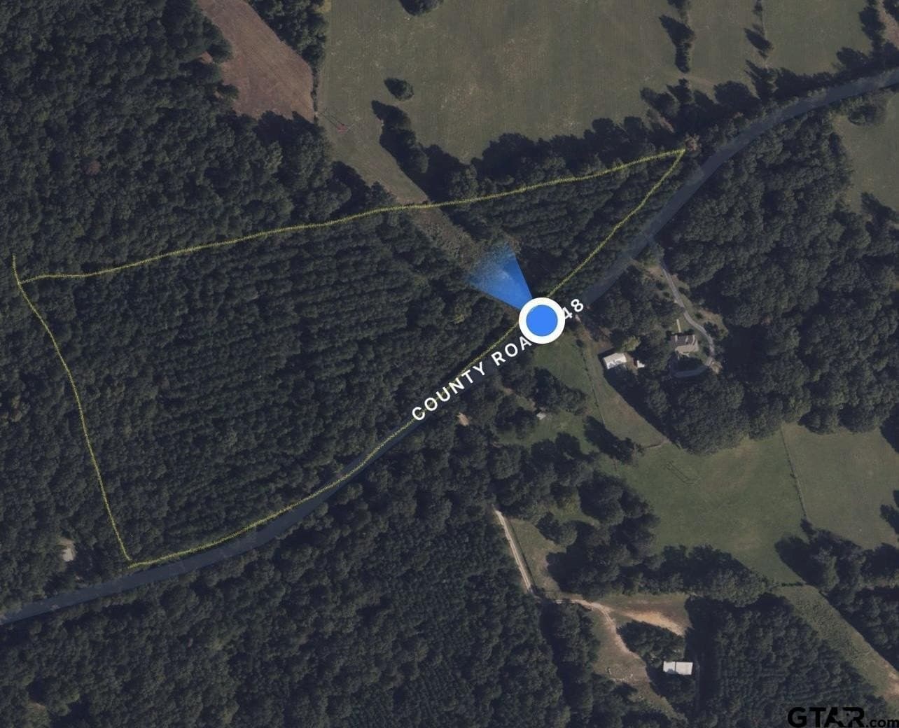 19.63 acres in Panola County gallery image 4