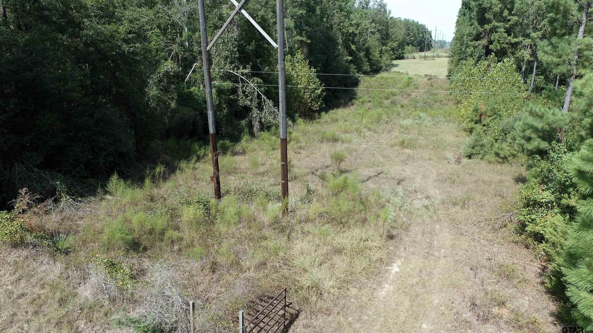19.63 acres in Panola County - photo 3