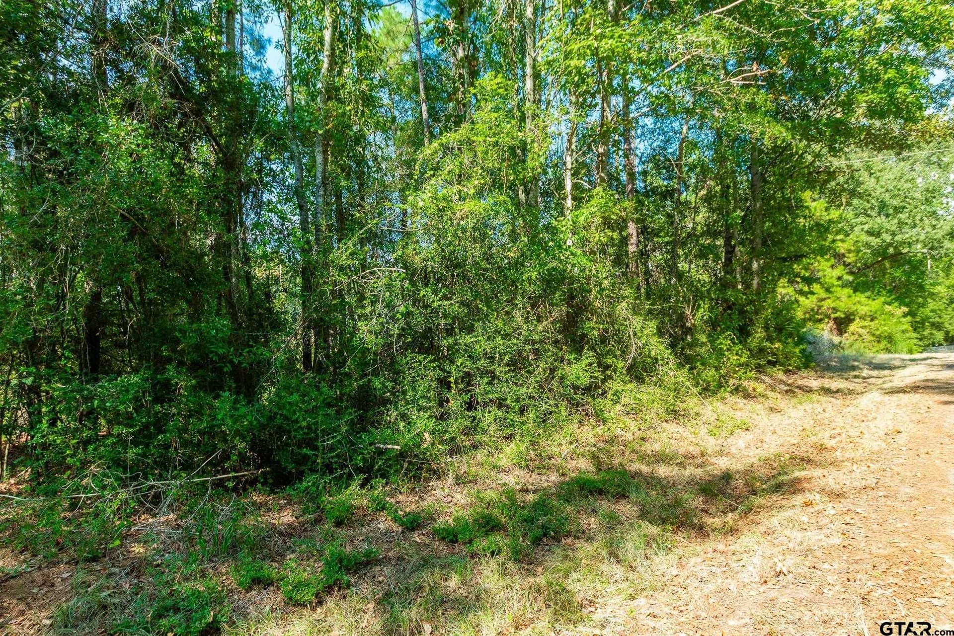 19.63 acres in Panola County - photo 7