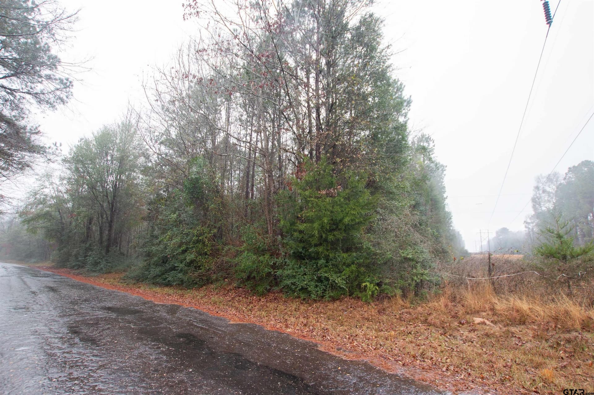 19.63 acres in Panola County gallery image 3