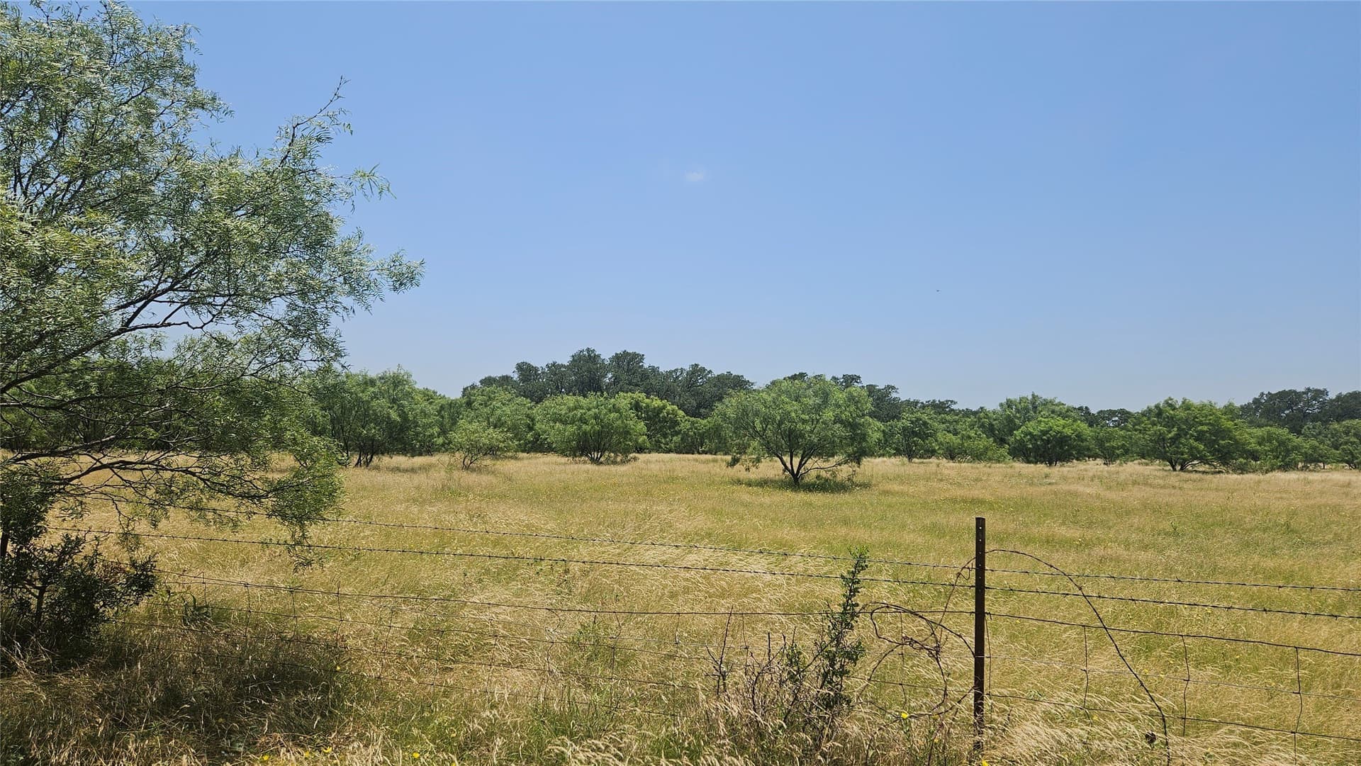 49 acres in Mills County - photo 4