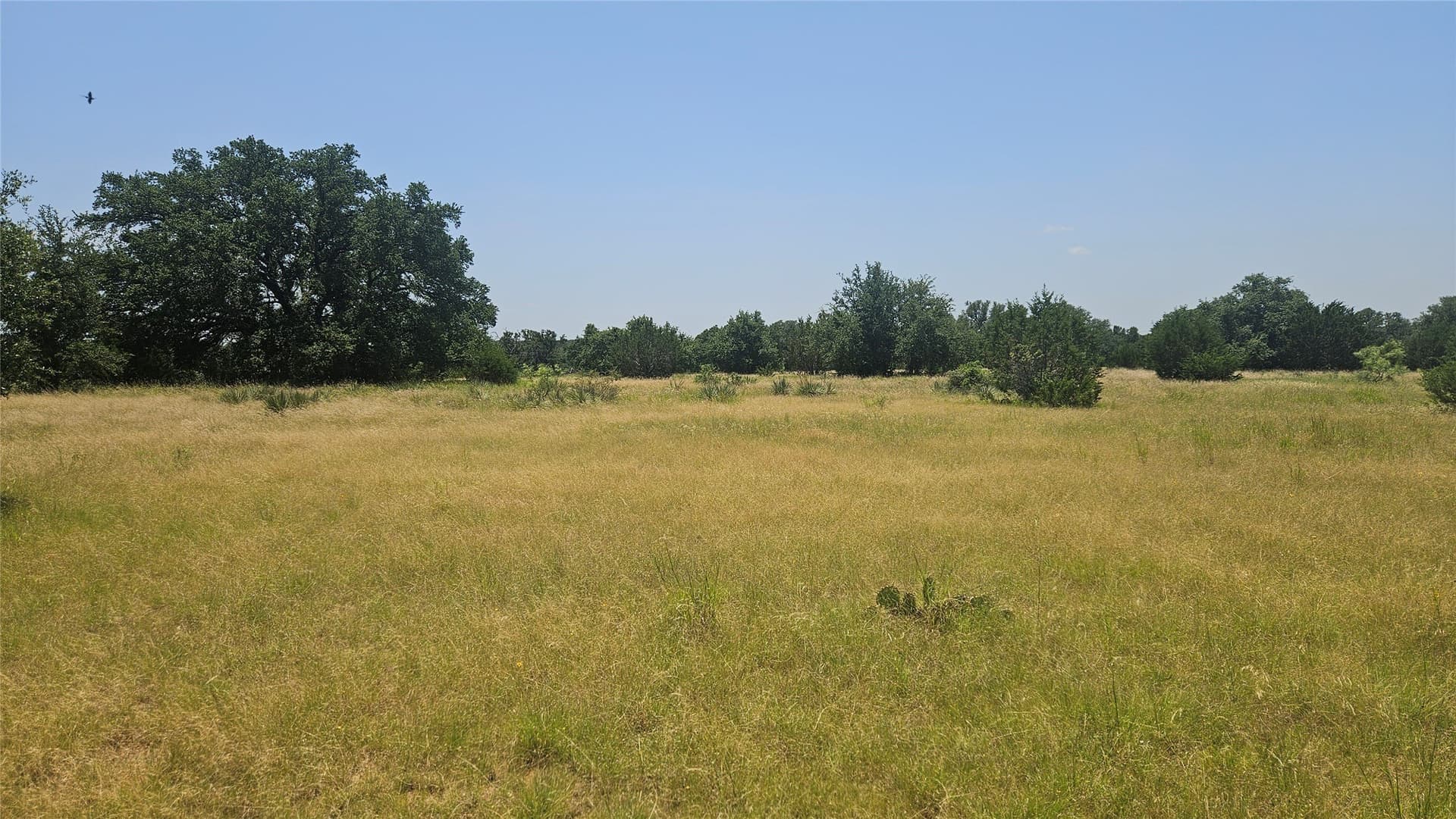 49 acres in Mills County - photo 2