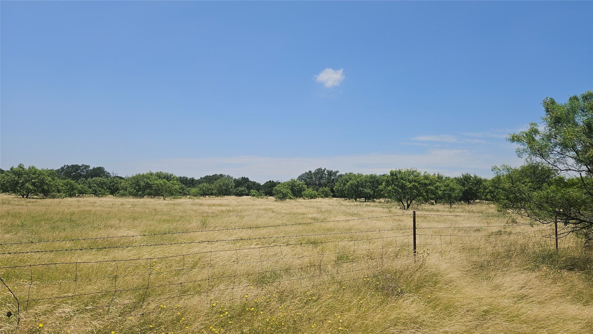 49 acres in Mills County - photo 8