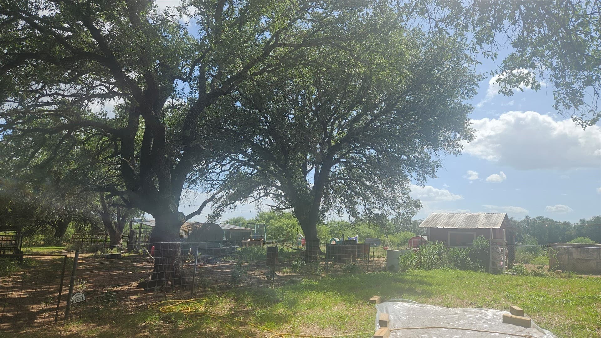 49 acres in Mills County - photo 16