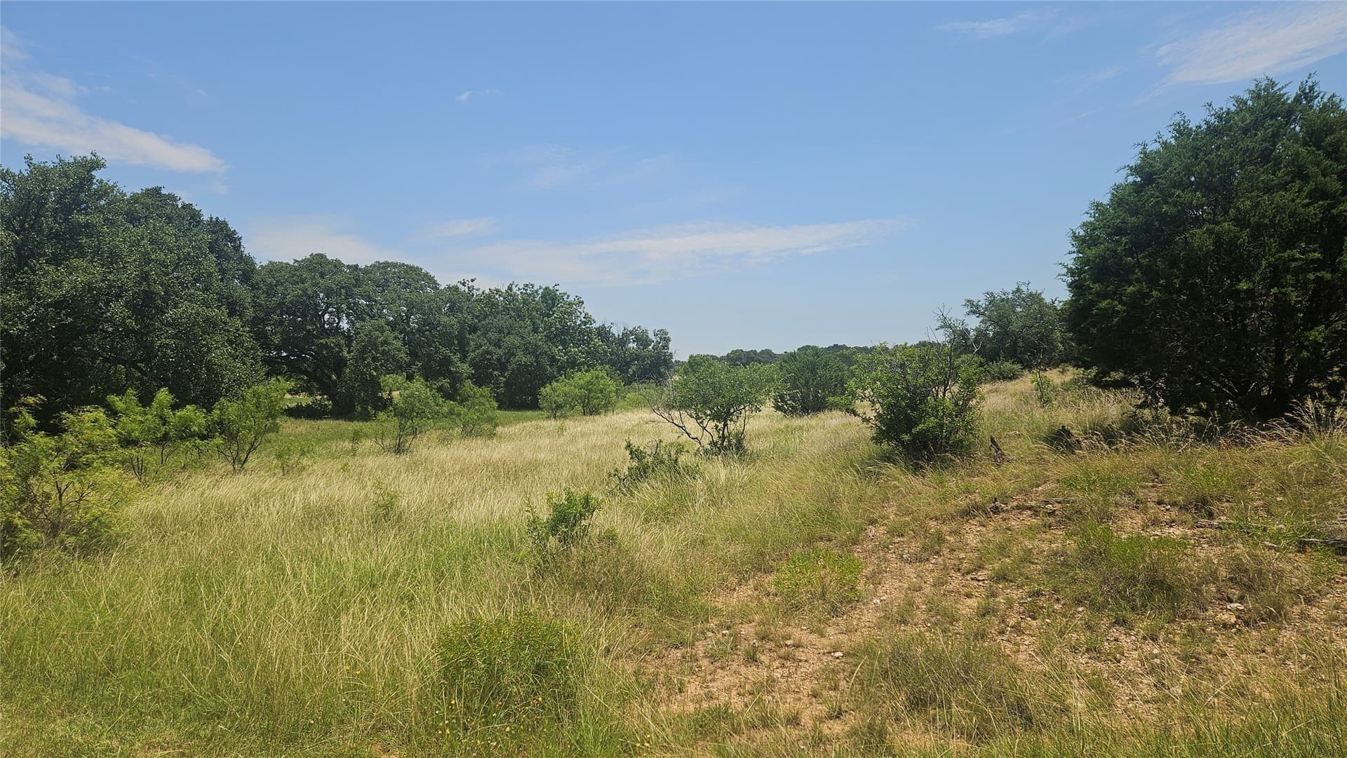 49 acres in Mills County - photo 12