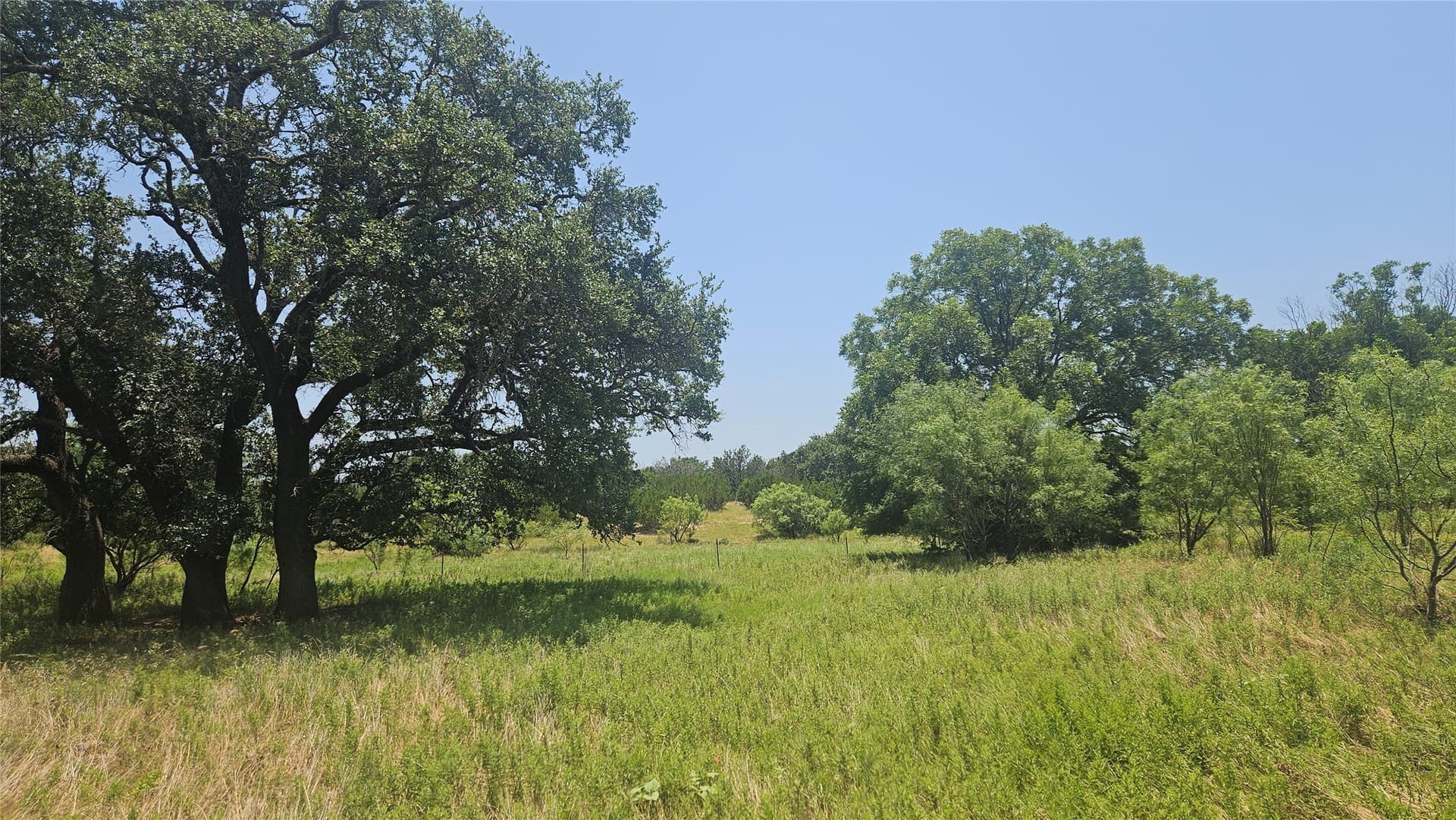 49 acres in Mills County - photo 7