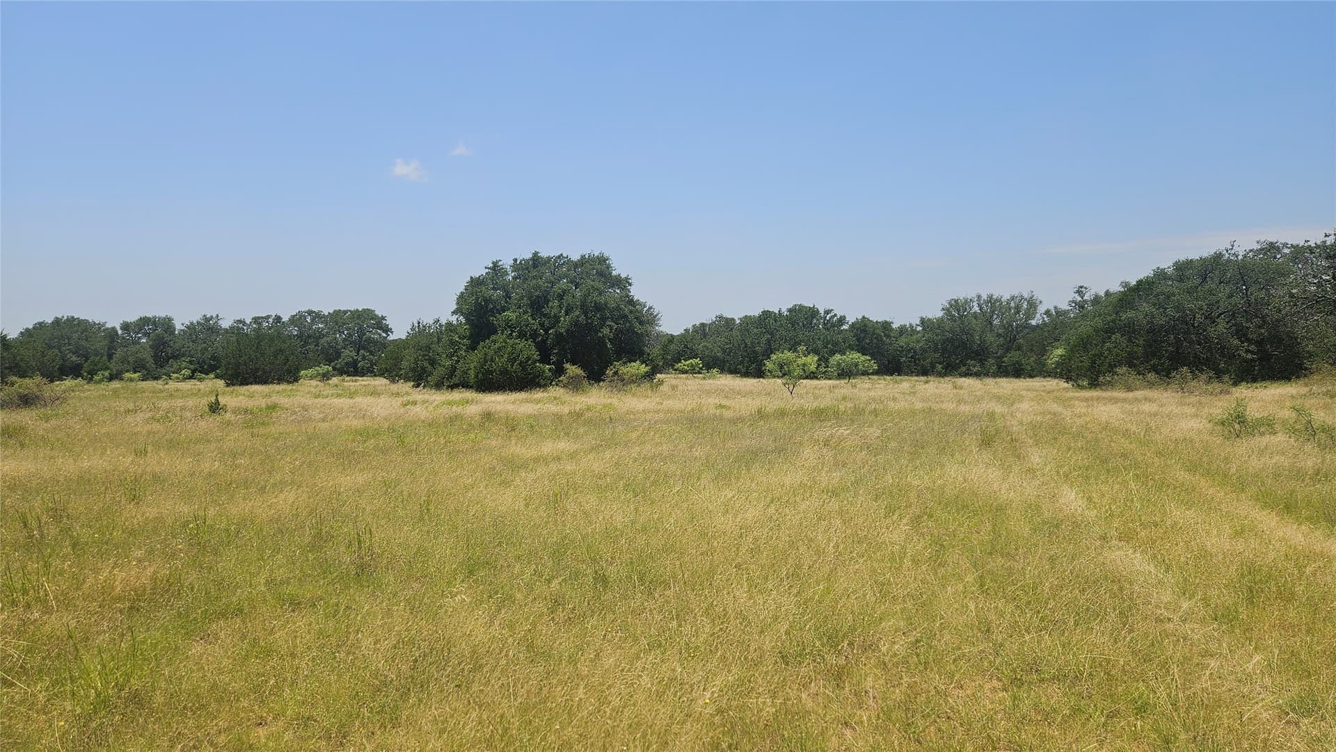 49 acres in Mills County - photo 6