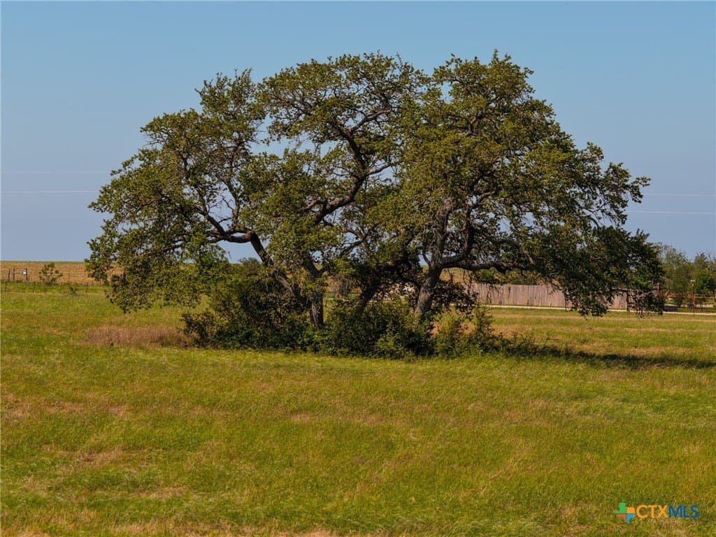 35 acres in Guadalupe County - photo 16