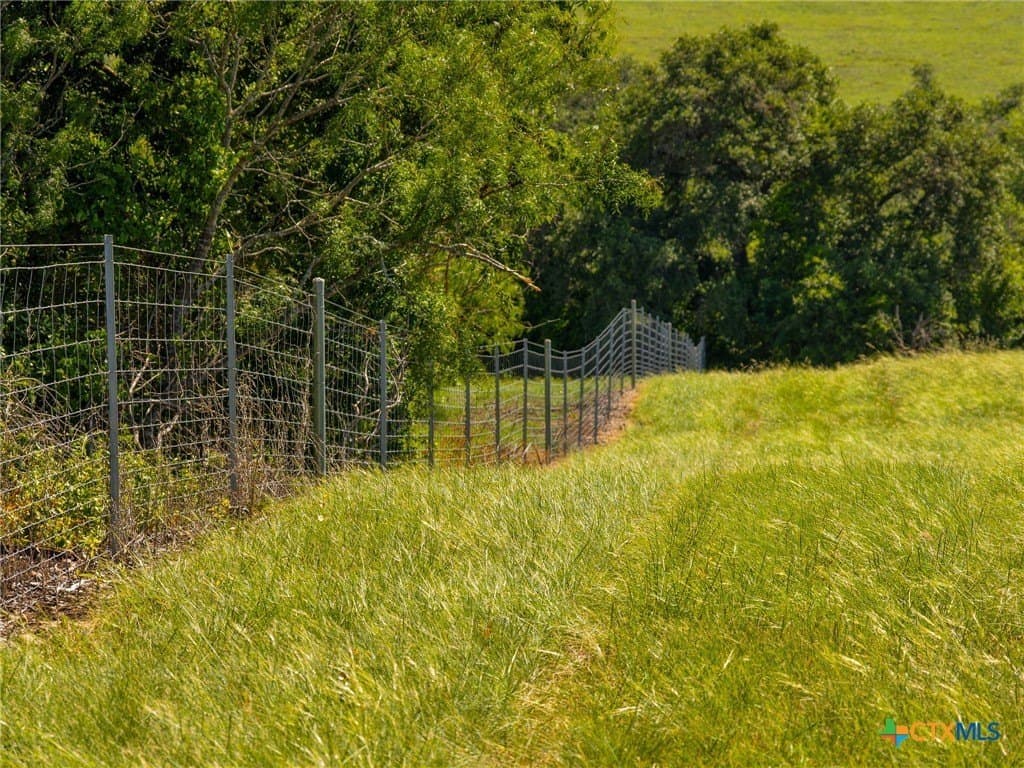 35 acres in Guadalupe County gallery image 4