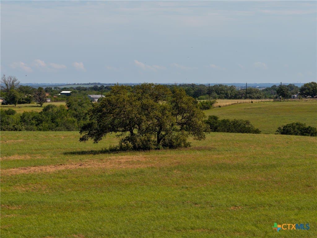 35 acres in Guadalupe County gallery image 3