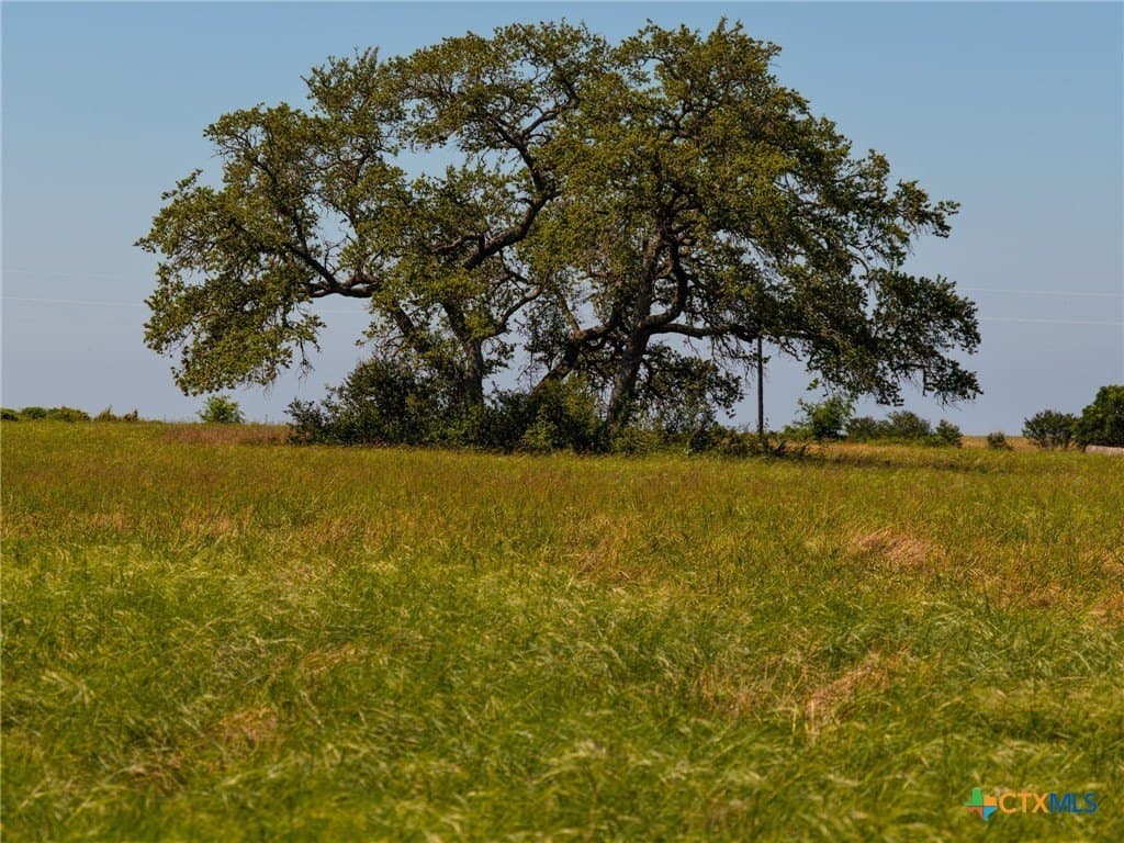 35 acres in Guadalupe County - photo 39