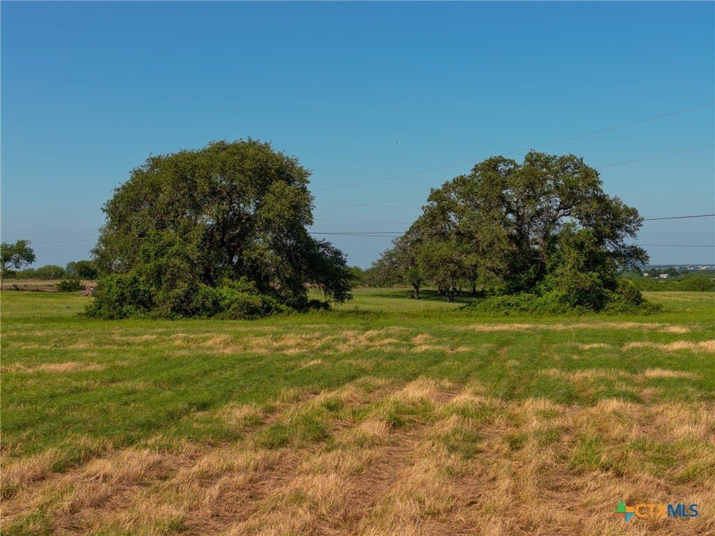 35 acres in Guadalupe County - photo 15