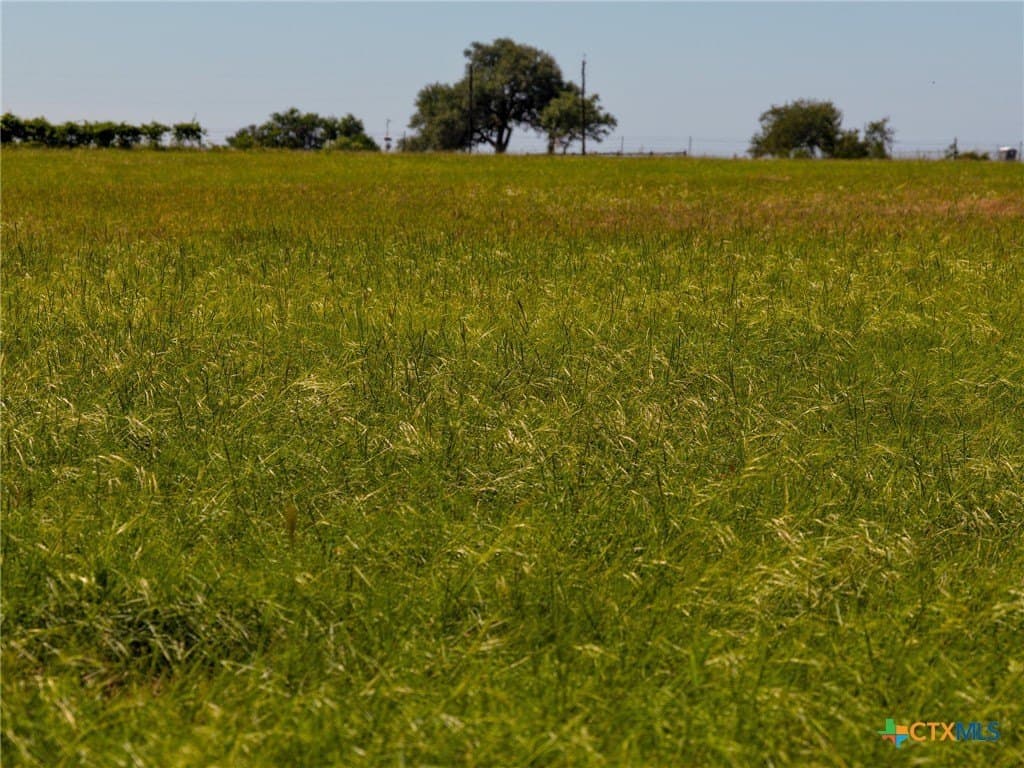 35 acres in Guadalupe County - photo 38