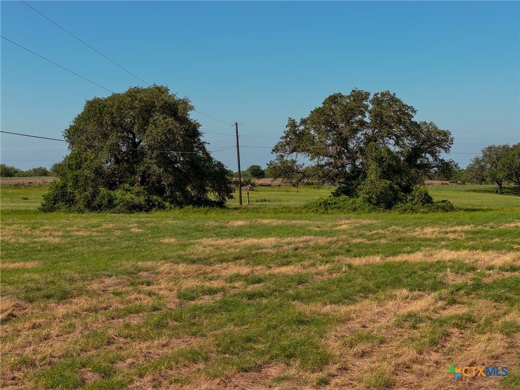 35 acres in Guadalupe County - photo 13