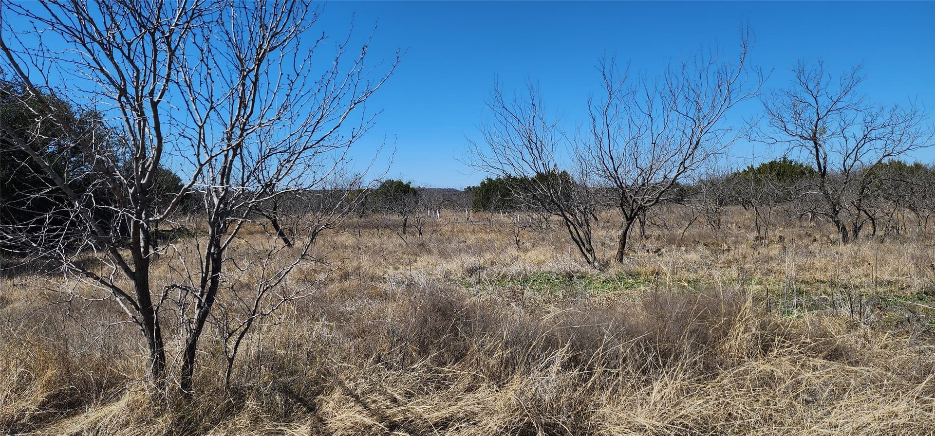 1 acres in Eastland County - photo 7
