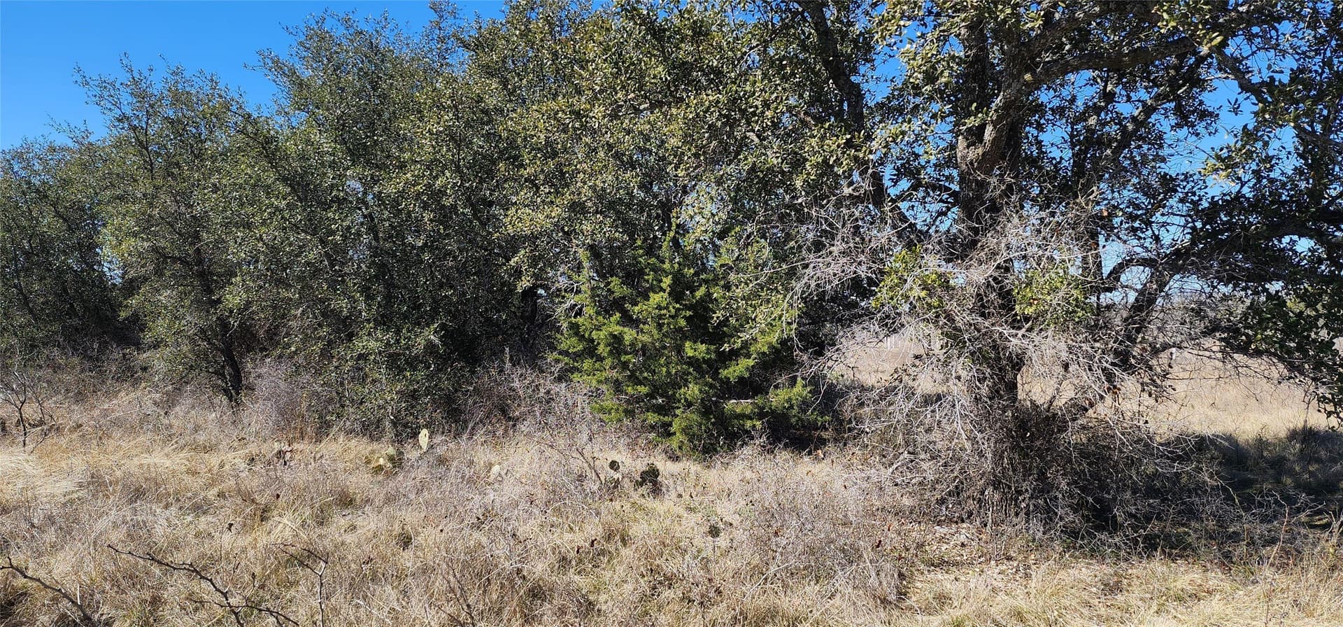 1 acres in Eastland County - photo 3