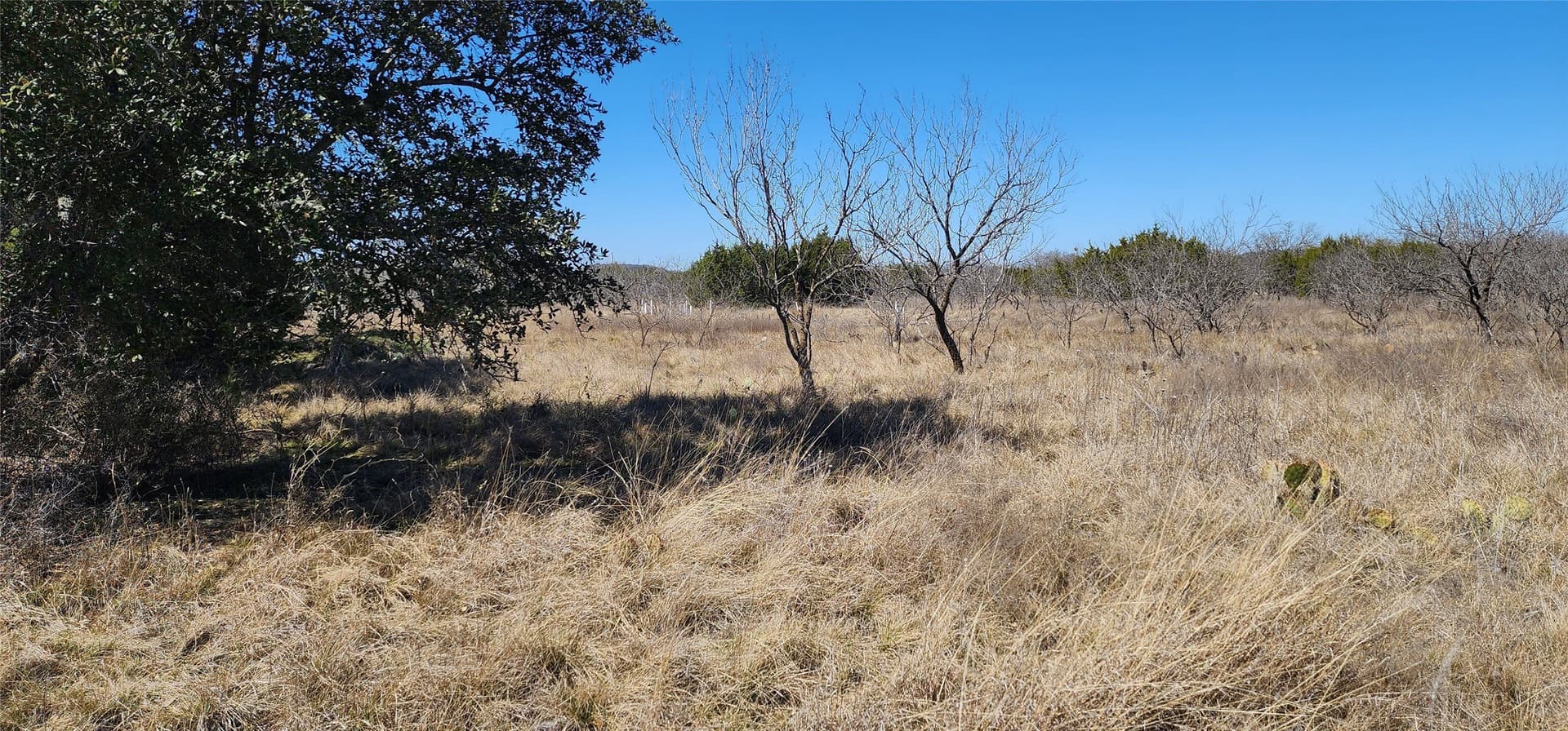 1 acres in Eastland County - photo 6