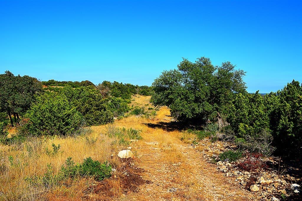 462.11 acres in Real County - photo 35