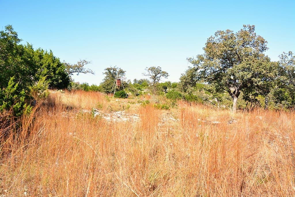 462.11 acres in Real County - photo 32
