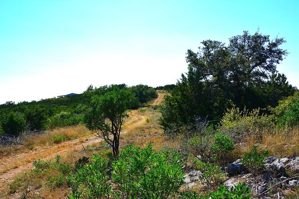 462.11 acres in Real County - photo 38