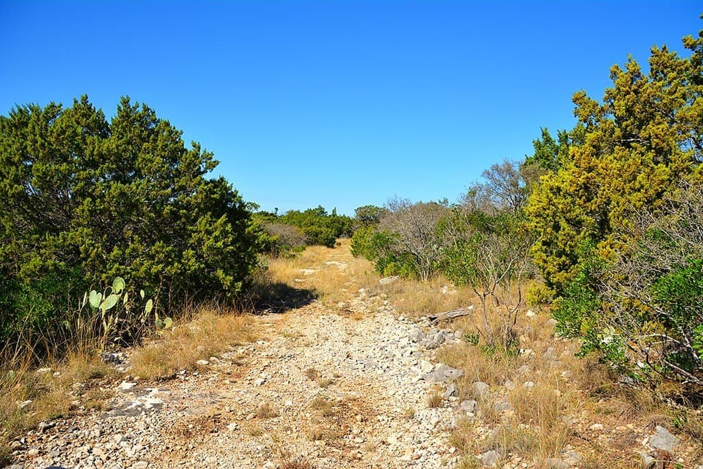 462.11 acres in Real County - photo 37