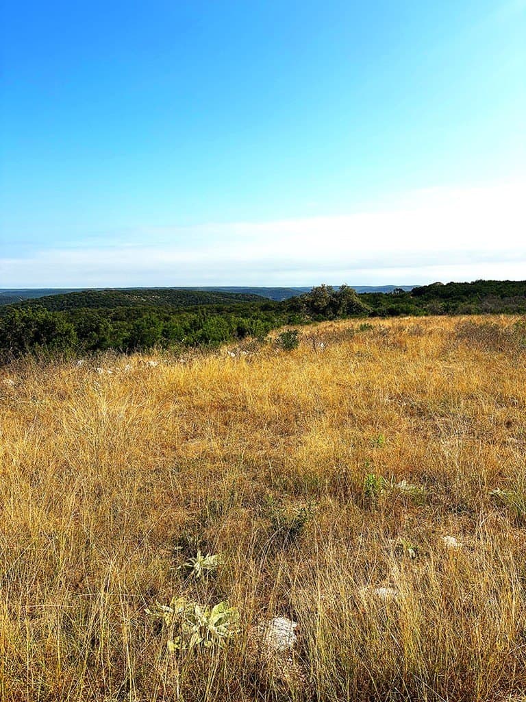 462.11 acres in Real County - photo 45