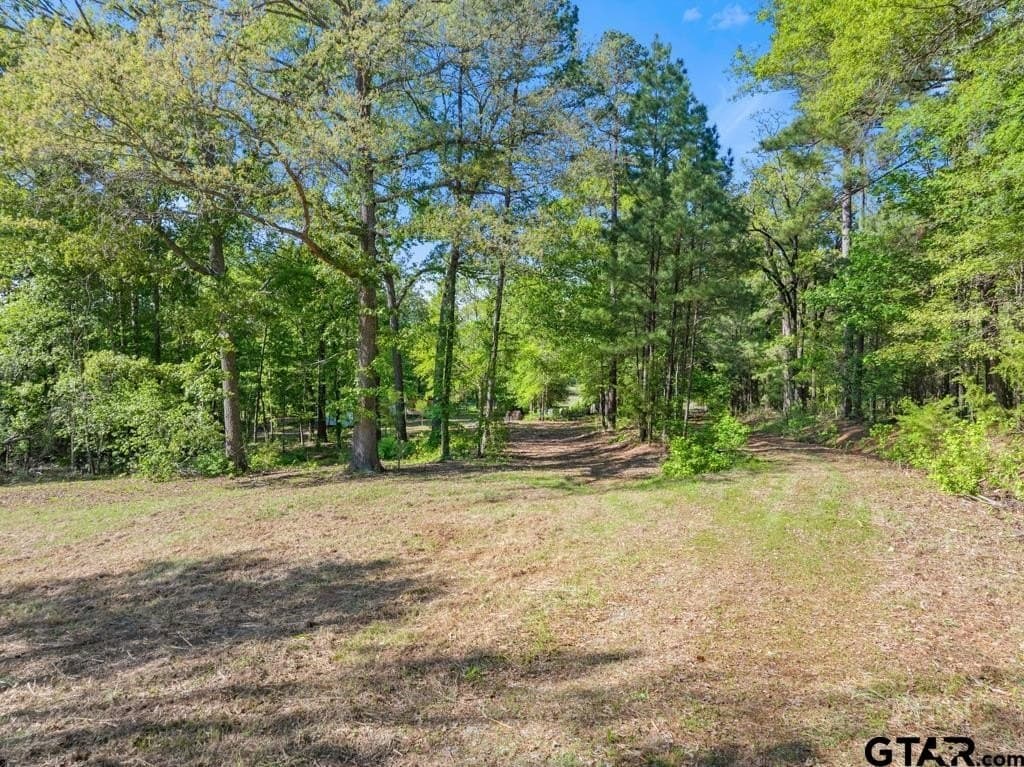 11.28 acres in Smith County gallery image 4