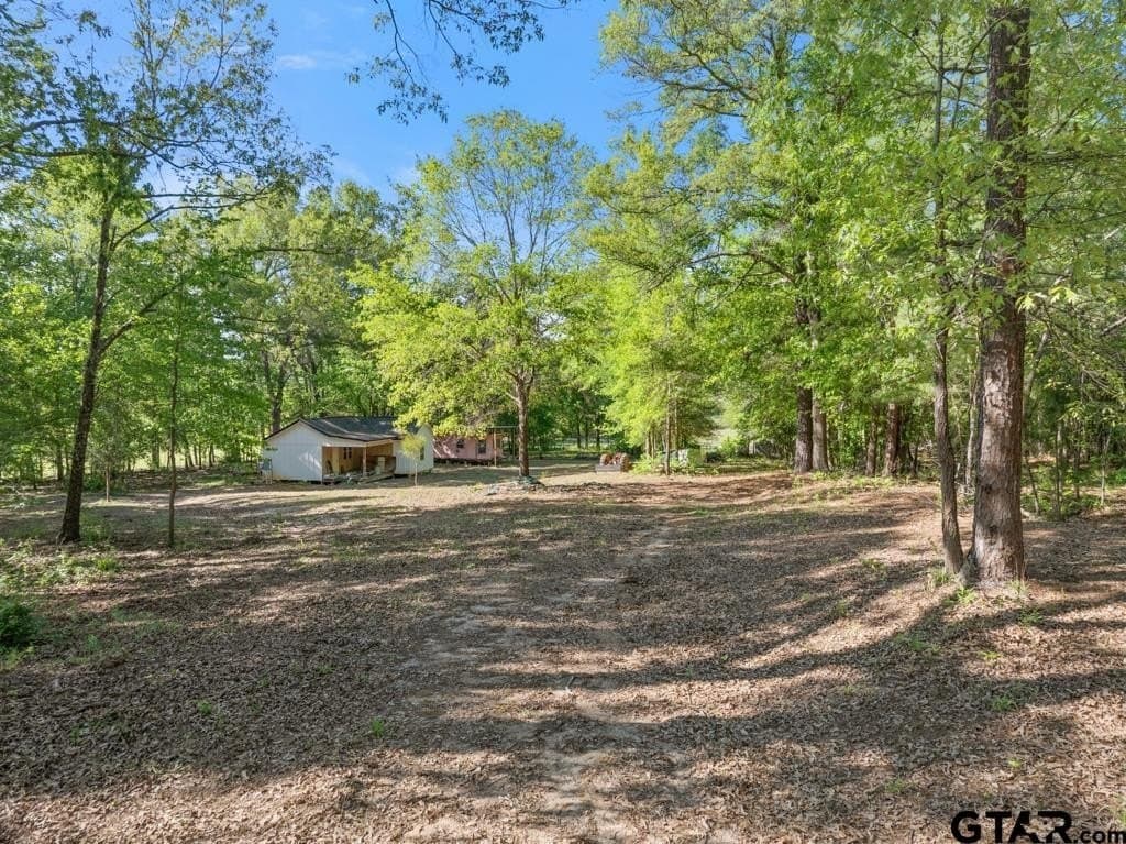 11.28 acres in Smith County gallery image 3