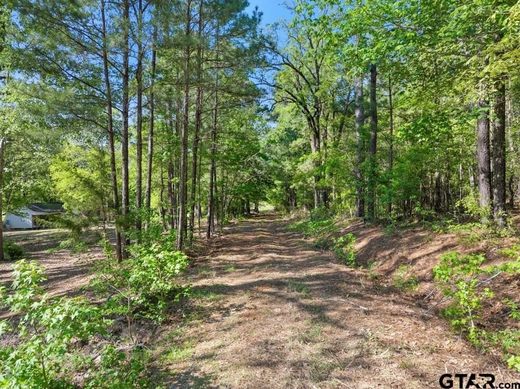 11.28 acres in Smith County gallery image 2